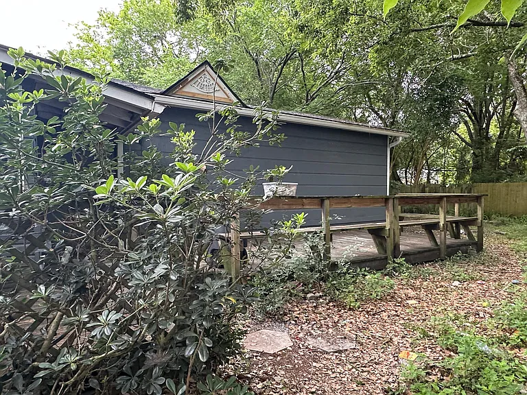 back yard