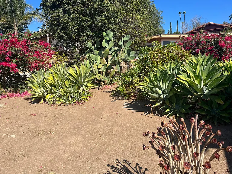 3130 Las Palmas Ave — Photo 12