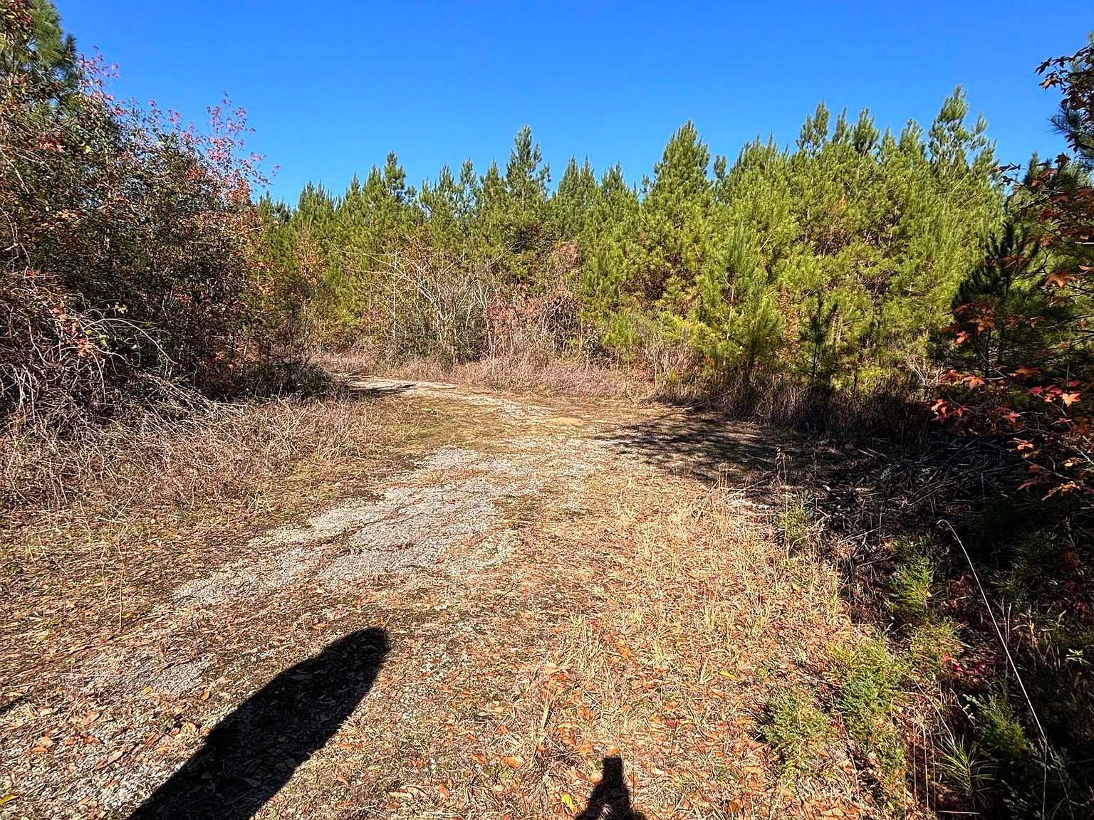 County Road 1080, Burkeville, TX 75932 MLS 23016163 Zillow