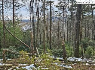 Bear Hollow Ln, Ennice, NC 28623