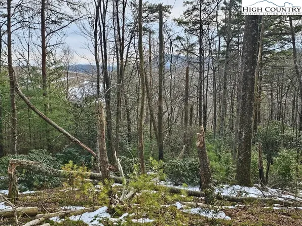 TBD Bear Hollow Lane, Ennice, NC 28623