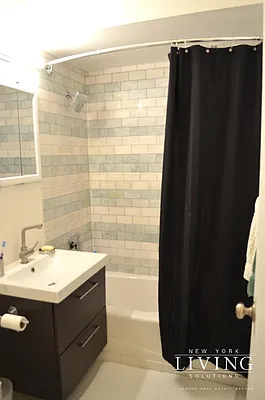 Rented by NY Living Solutions | media 32