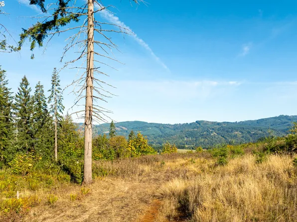 39412 NE 31st Ave, La Center, WA 98629