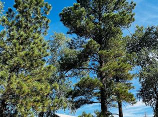 2755 S High Way #84/64, Chama, NM 87520