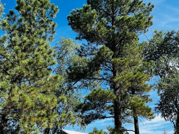 2755 S High Way #84/64, Chama, NM 87520