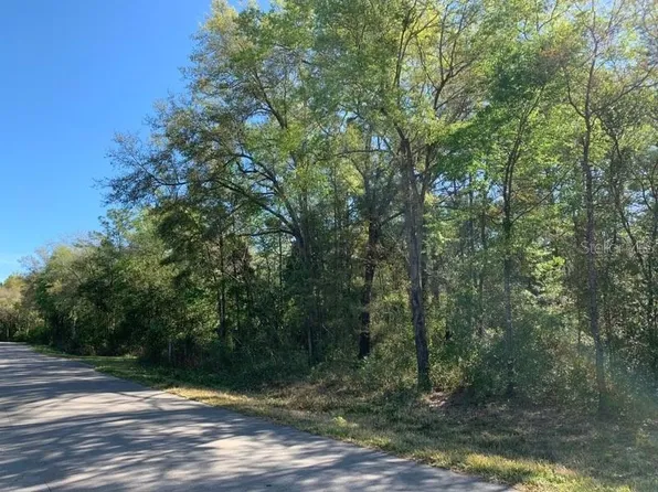 NE 155th Ct, Williston, FL 32696