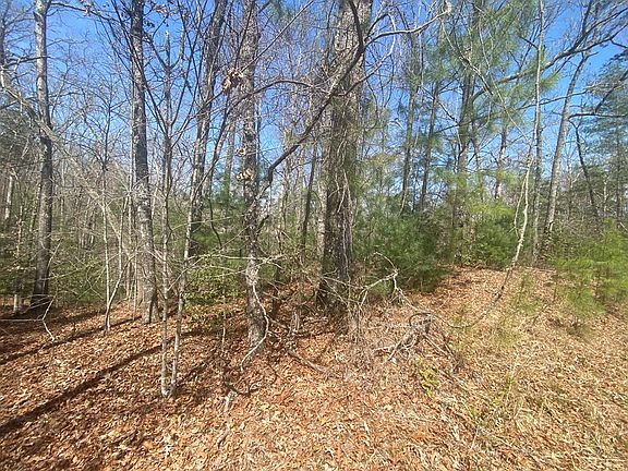 4th image of 0 Hilltop Rd