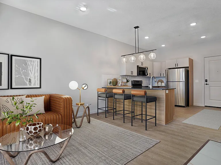 Kitchen and Living Room