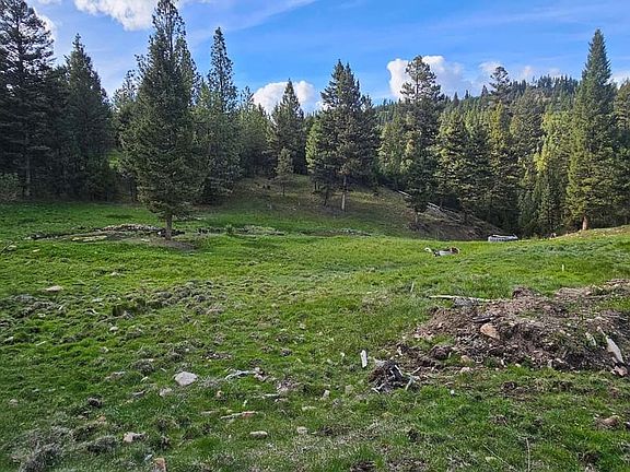 4th image of TRACT Seven Bull Gln