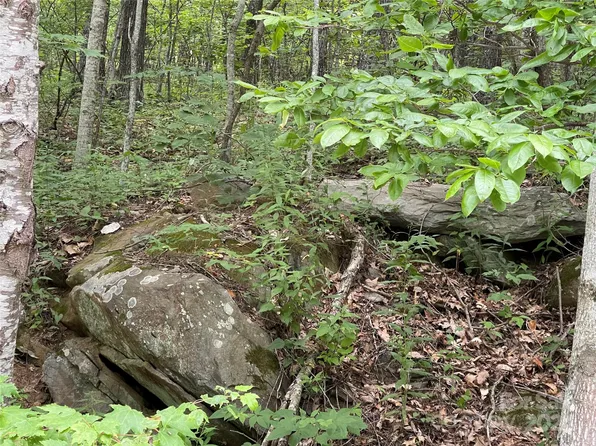 0 Lytle Cove Rd, Swannanoa, NC 28778