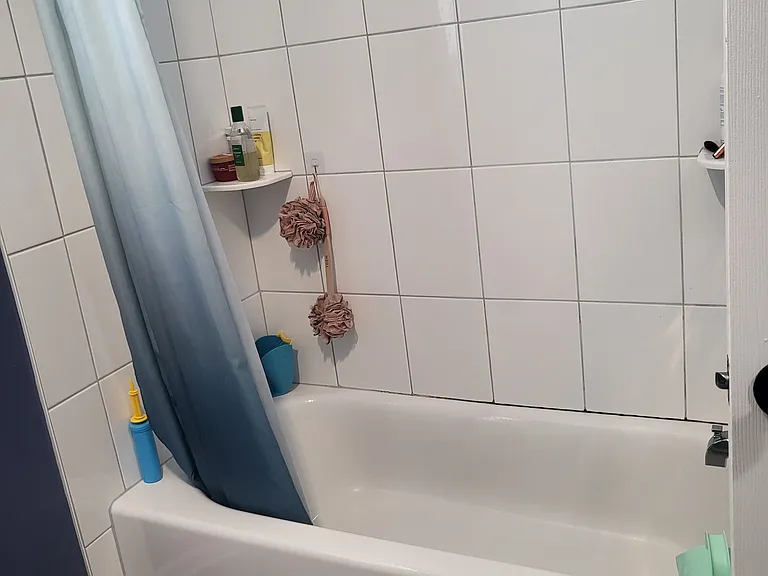 239 Maple Ave — Photo 5