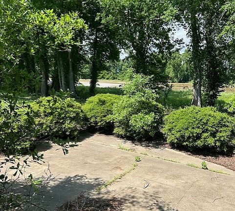 Back Patio