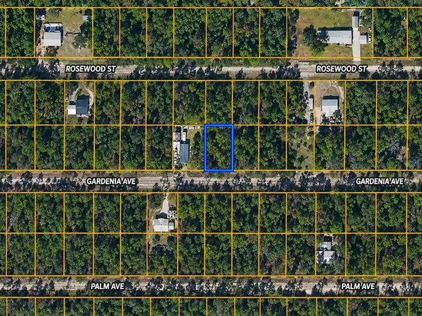 120 GARDENIA AVENUE LOT 28, GEORGETOWN, FL 32139