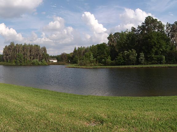 View from Florida Room/Lanai