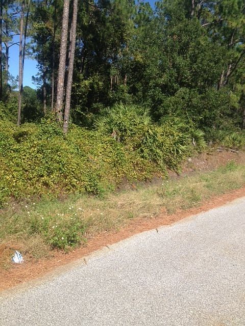 2nd image of 850 Scheidel Way