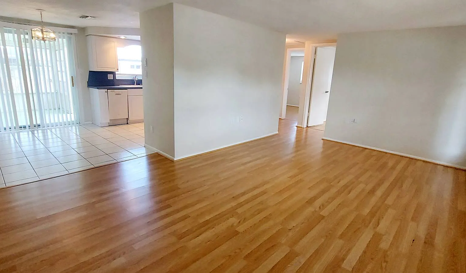 9031 Chantilly Lane - 1 — Photo 4