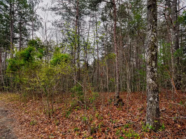 Old Johnson Rd, NC 28906