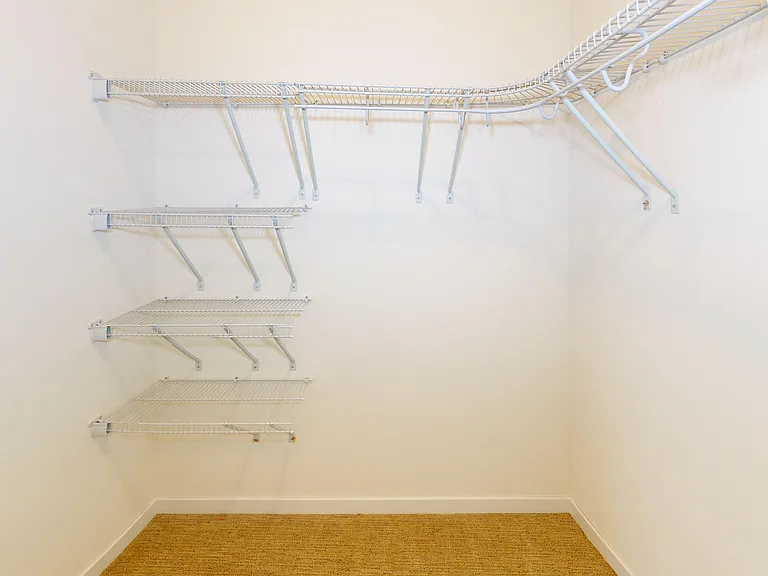Shooting Star - Master Bedroom Closet