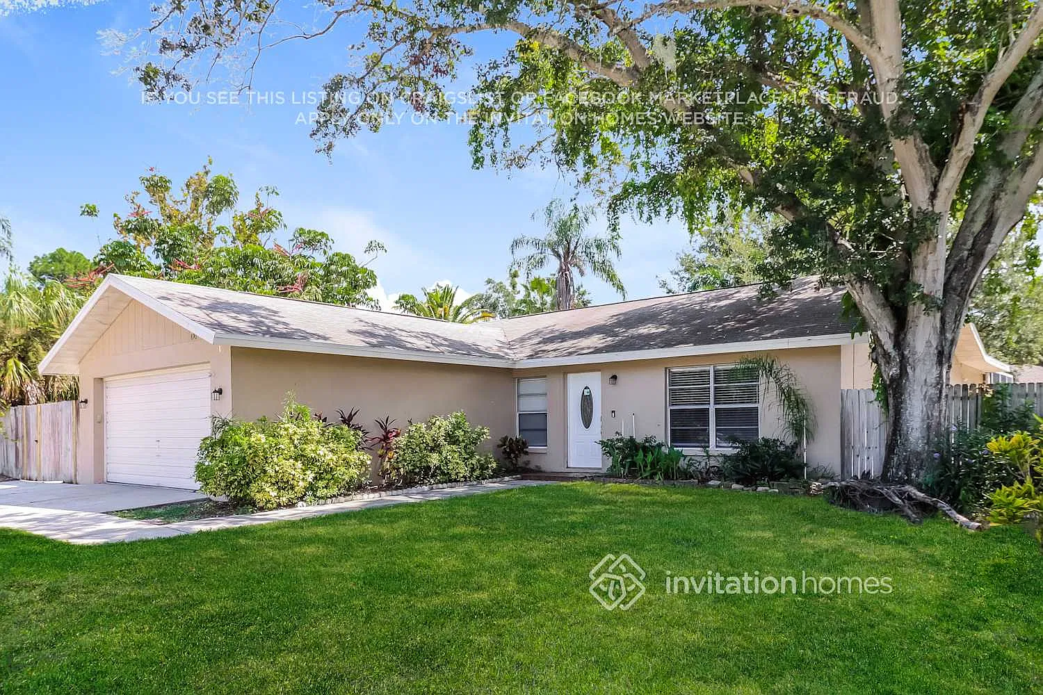 890 16th St Palm Harbor, FL 34683 — Photo 3