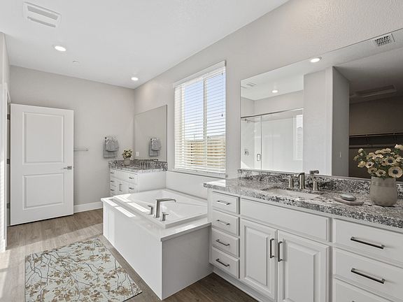 The master bathroom has a large vanity and a step in shower.