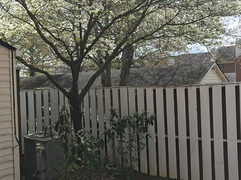 Back patio
