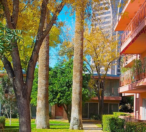 Ground floor front porch