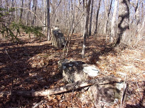 5th image of 0 W Creek Dr #13