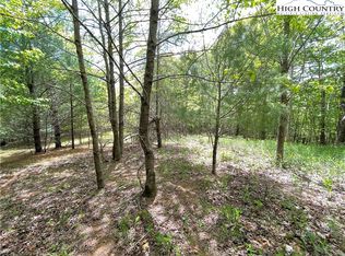 LOT 10 Ivy Ridge Rd, Deep Gap, NC 28618