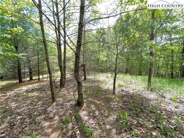 Lot 10 Ivy Ridge Road, Deep Gap, NC 28618