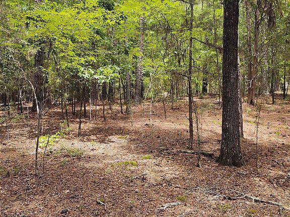 4th image of 1109 Hopewell Church Rd