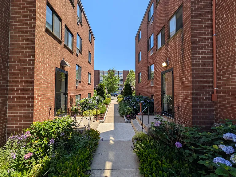 236 Babcock St #1 — Photo 29