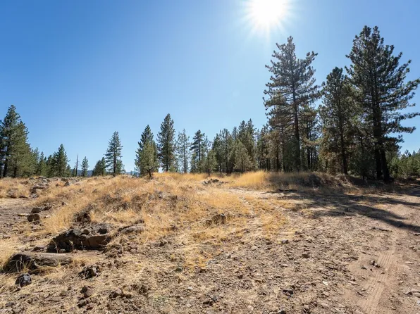 156 Cougar Way, Portola, CA 96122