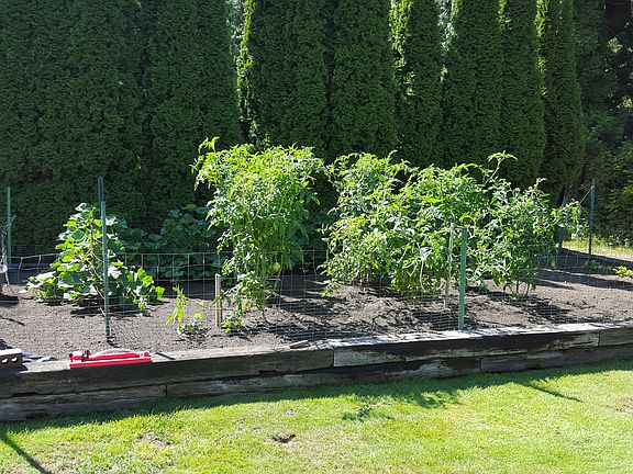 18x28 garden