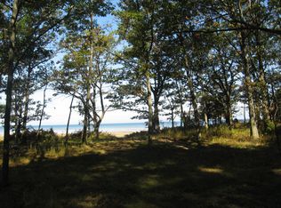 Bay View Dr, Port austin, MI 48467