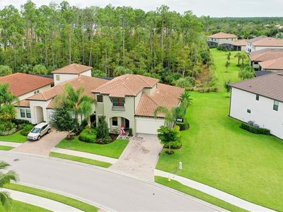 4355 Raffia Palm Cir, Naples, FL, 34119