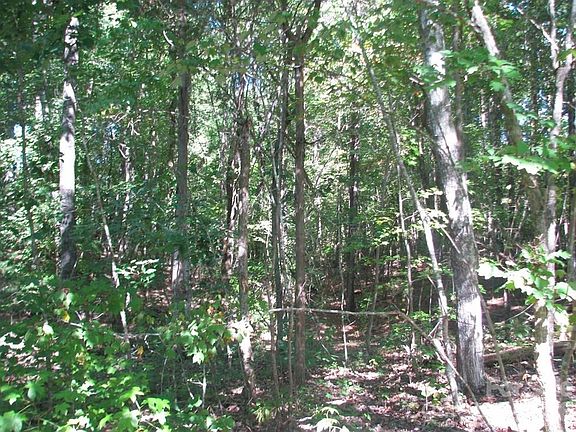 4th image of Brandon Rd