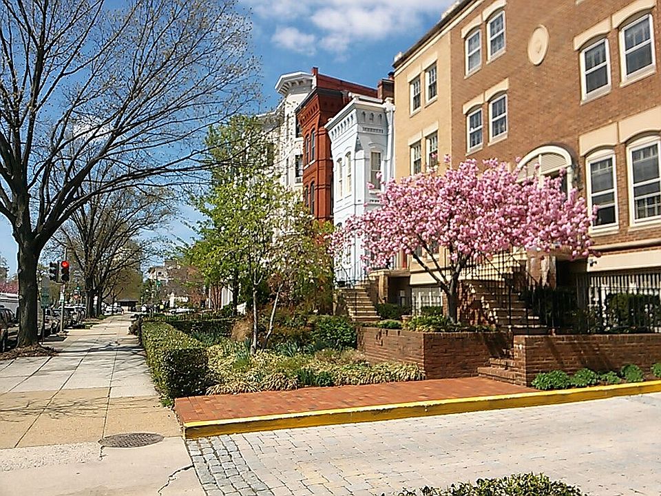 One Block to Senate/Capital