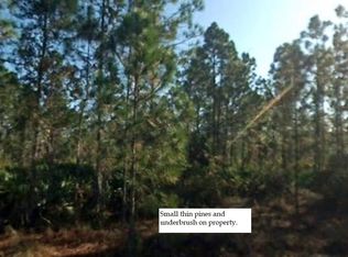 2302 Truman Ave, Alva, FL 33920