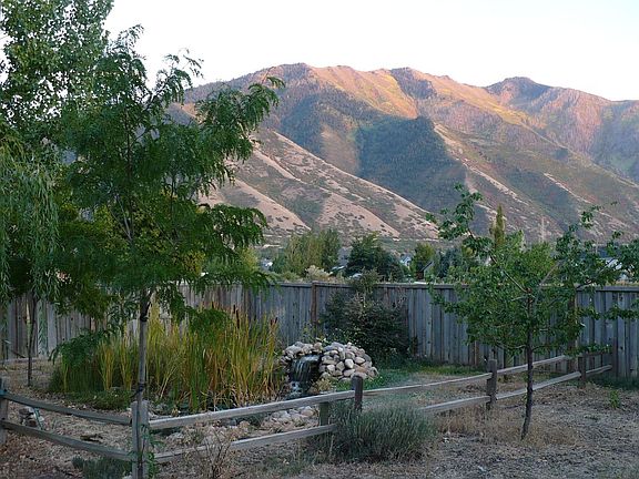 Fall backyard view from deck.