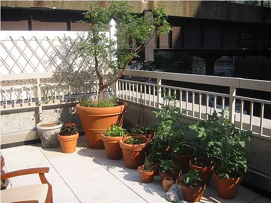 Sold by Realmart Realty LLC | media 11