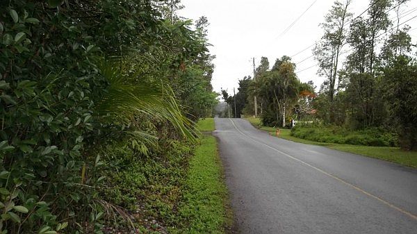 1st image of 31 Avenue