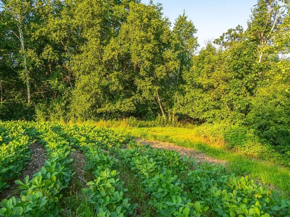 0 Cty Rd S, Blair, WI 54616