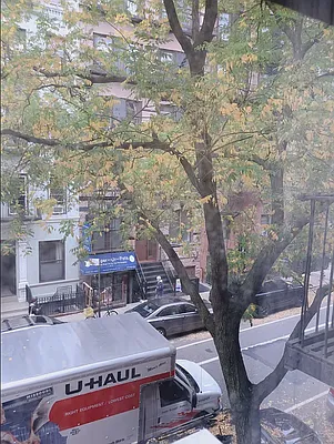 Rented by Nest Seekers International | media 6