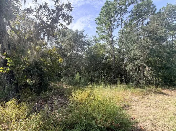 5066 E ANNA JO DRIVE LOT 2, INVERNESS, FL 34452