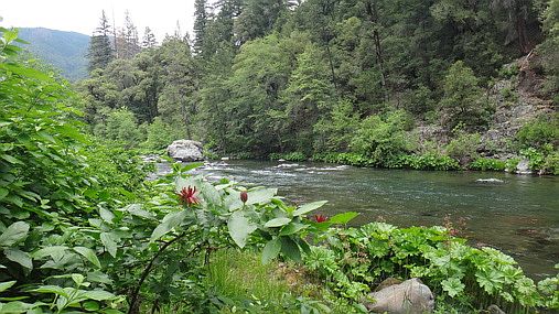 2nd image of McCloud Riv