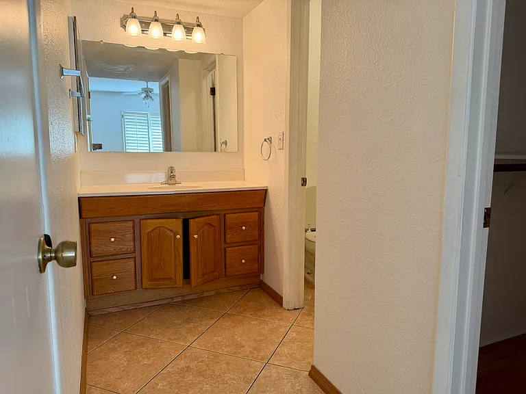 Bathroom 1 vanity