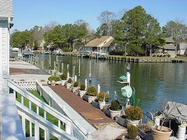 View from Dock