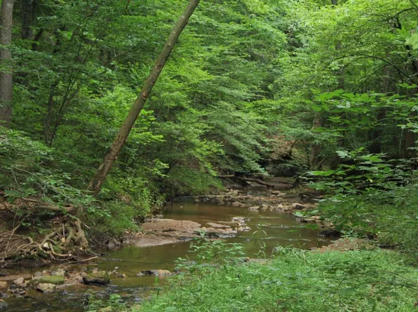 0 Cottage Charm Rd, Goode, VA 24556