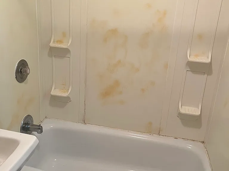 415 Putnam St #1 — Photo 18