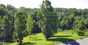 2nd image of Cypress Dr